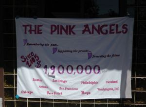 Pink Angels 2013